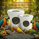 Golden Cat Whole Roasted Sunflower Seeds 2 x 3kg (6kg Total) Barrel Pack | Premium Bird Food for Parrots, Budgies, Cockatiels, Lovebirds & Small Pets | High Protein High Fiber Non-GMO Argentina Origin
