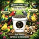 Golden Cat Whole Roasted Sunflower Seeds 2 x 3kg (6kg Total) Barrel Pack | Premium Bird Food for Parrots, Budgies, Cockatiels, Lovebirds & Small Pets | High Protein High Fiber Non-GMO Argentina Origin