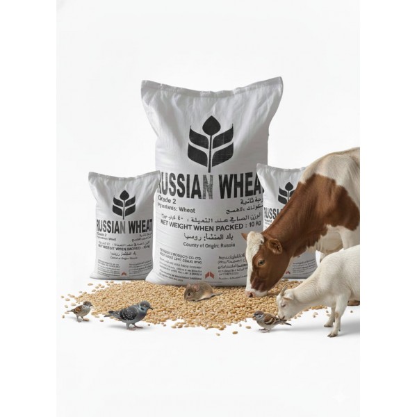 Premium Russian Wheat Grade 2 – Whole Grain Animal Feed (40kg Bag) | High-Energy Natural Grain for Poultry, Birds, Livestock & Farm Animals