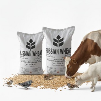 Premium Russian Wheat Grade 2 – Whole Grain Animal Feed (1kg Bag) | High-Energy Natural Grain for Poultry, Birds, Livestock & Farm Animals