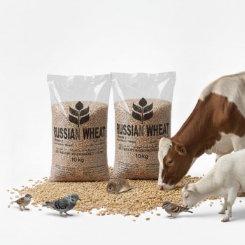 Premium Russian Wheat Grade 2 – Whole Grain Animal Feed (10kg Bag) | High-Energy Natural Grain for Poultry, Birds, Livestock & Farm Animals