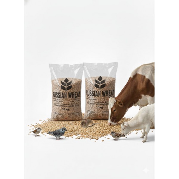 Premium Russian Wheat Grade 2 – Whole Grain Animal Feed (10kg Bag) | High-Energy Natural Grain for Poultry, Birds, Livestock & Farm Animals