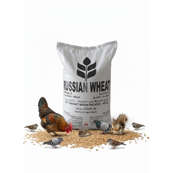 Premium Russian Wheat Grade 2 – Whole Grain Animal Feed (40kg Bag) | High-Energy Natural Grain for Poultry, Birds, Livestock & Farm Animals