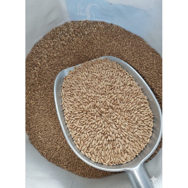 Premium Russian Wheat Grade 2 – Whole Grain Animal Feed (1kg Bag) | High-Energy Natural Grain for Poultry, Birds, Livestock & Farm Animals