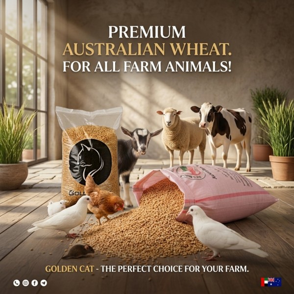 Premium Australian Wheat – 10kg Bag | Natural Whole Grain Animal Feed | High-Energy, Clean & Fresh Wheat for Birds, Poultry, Livestock & Small Farm Pets Premium Australian Wheat – 10kg Bag | Natural Whole Grain Animal Feed | High-Energy, Clean & Fresh Wheat for Birds, Poultry, Livestock & Small Farm Pets