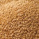 Premium Australian Wheat – 20kg Bag | Natural Whole Grain Animal Feed | High-Energy, Clean & Fresh Wheat for Birds, Poultry, Livestock & Small Farm Pets