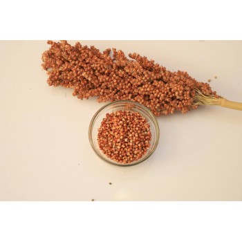 Premium Red Sorghum Seeds – 1kg Bag | Nutritious Feed for Hamsters, Gerbils, Mice, Rats & Birds | High-Protein, Vitamin-Rich Natural Grain