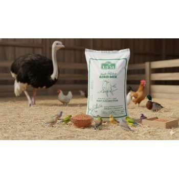 Premium Red Sorghum Seeds – 50kg Bag | Nutritious Feed for Birds, Hamsters, Gerbils, Mice, Rats & Livestock | High-Protein, Vitamin-Rich Natural Grain