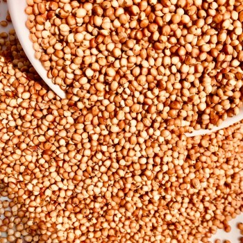 Premium Red Sorghum Seeds – 1kg Bag | Nutritious Feed for Hamsters, Gerbils, Mice, Rats & Birds | High-Protein, Vitamin-Rich Natural Grain