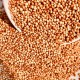 Premium Red Sorghum Seeds – 1kg Bag | Nutritious Feed for Hamsters, Gerbils, Mice, Rats & Birds | High-Protein, Vitamin-Rich Natural Grain Premium Red Sorghum Seeds – 1kg Bag | Nutritious Feed for Hamsters, Gerbils, Mice, Rats & Birds | High-Protein, Vitamin-Rich Natural Grain