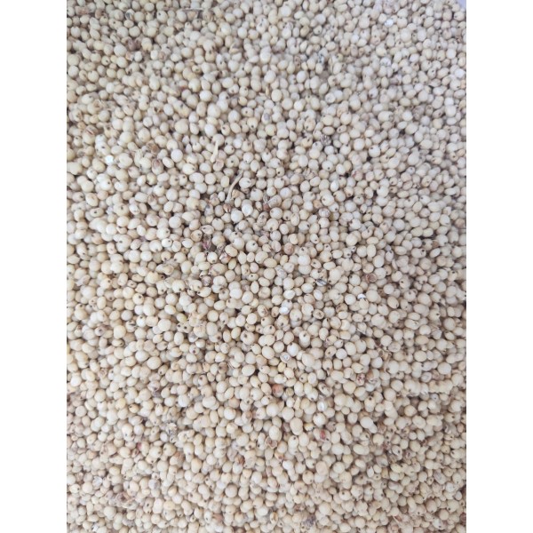 Premium Yellow Sorghum (Milo) Grain – 1kg Bag | High-Energy Natural Seed for Birds, Poultry & Small Pets