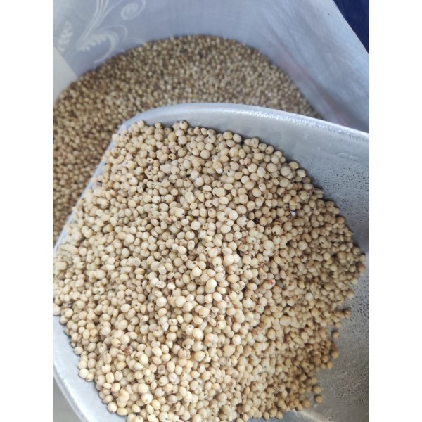 Premium Yellow Sorghum (Milo) Grain – 1kg Bag | High-Energy Natural Seed for Birds, Poultry & Small Pets