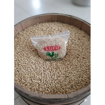 Premium Whole Barley – 1kg Bag | Natural Whole Grain Feed for Wild Birds, Poultry & Small Livestock | High-Energy, Nutrient-Rich Barley Seed
