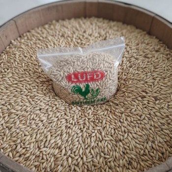 Premium Whole Barley – 10kg Bag | Natural Whole Grain Feed for Wild Birds, Poultry & Livestock | High-Energy, Nutrient-Rich Barley Seed