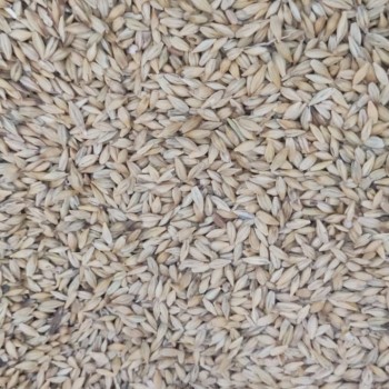 Premium Whole Barley – 1kg Bag | Natural Whole Grain Feed for Wild Birds, Poultry & Small Livestock | High-Energy, Nutrient-Rich Barley Seed