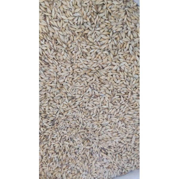 Premium Whole Barley – 1kg Bag | Natural Whole Grain Feed for Wild Birds, Poultry & Small Livestock | High-Energy, Nutrient-Rich Barley Seed