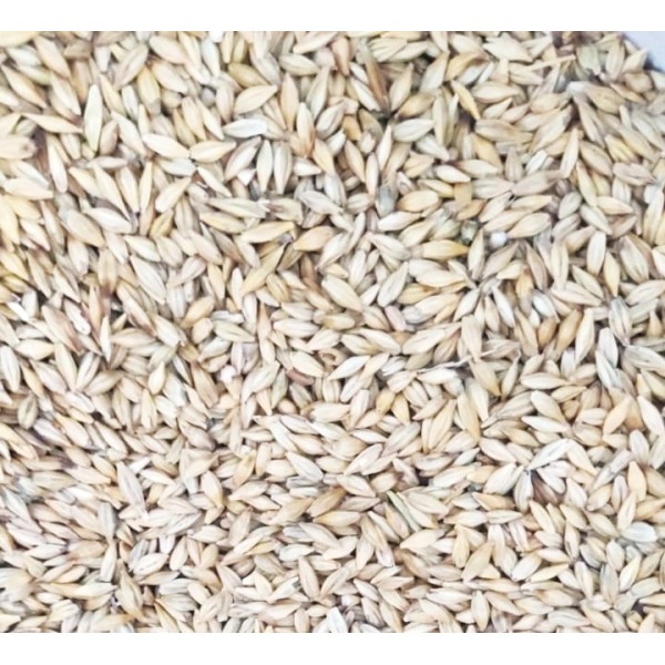 Premium Whole Barley – 10kg Bag | Natural Whole Grain Feed for Wild Birds, Poultry & Livestock | High-Energy, Nutrient-Rich Barley Seed