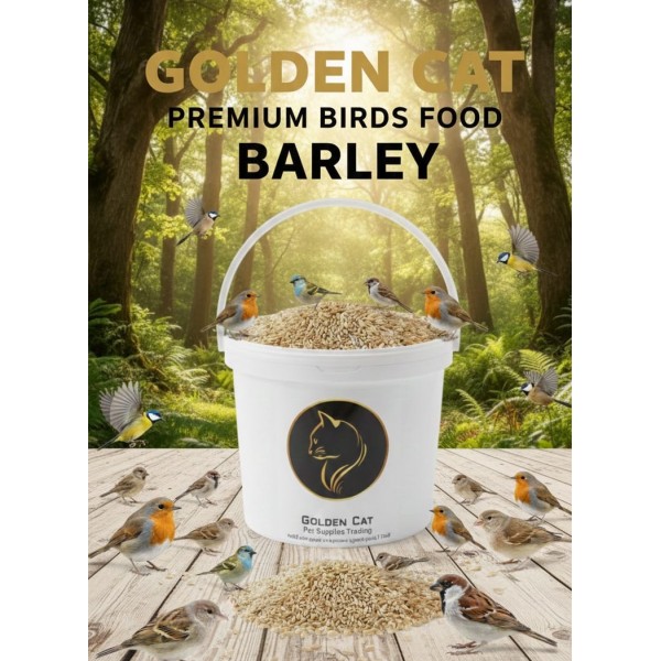 Whole Barley 5 kg – Natural High-Energy Grain Feed for Wild Birds, Pigeons, Poultry, Chickens, Ducks, Livestock, Goats, Sheep & Horses | Nutrient-Rich & Versatile Whole Barley 5 kg – Natural High-Energy Grain Feed for Wild Birds, Pigeons, Poultry, Chickens, Ducks, Livestock, Goats, Sheep & Horses | Nutrient-Rich & Versatile
