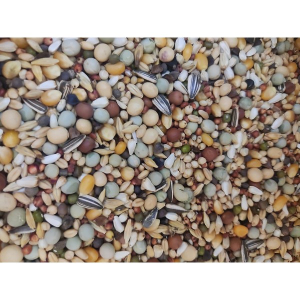 PIGEON Premium Mix – 1 KG | Top-Quality Seed & Grain Feed for Pigeons, Doves & Small Birds | Balanced Nutrition for Domestic, Show & Racing Birds | Healthy Daily Bird Food