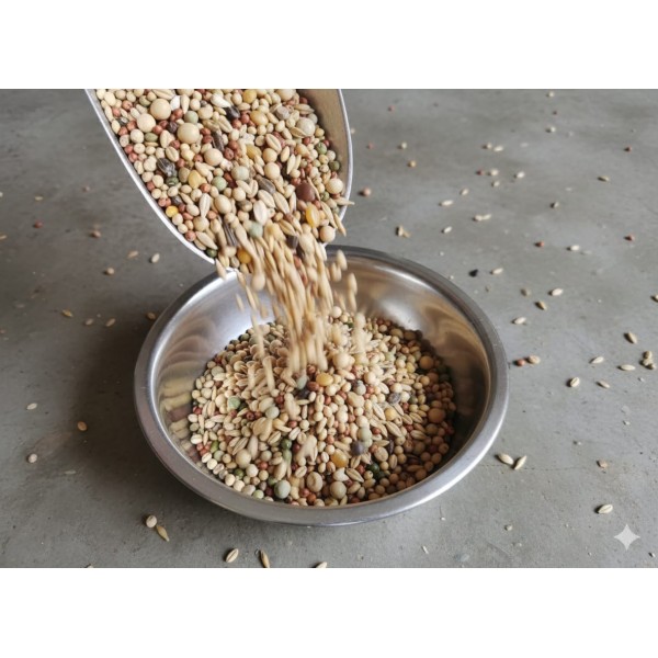 PIGEON Premium Mix – 20 KG | Top-Quality Seed & Grain Feed for Pigeons, Doves & Small Birds | Nutritionally Complete Pet Food for Domestic, Show & Racing Birds | Supports Strong Bones, Glossy Feathers & Optimal Health PIGEON Premium Mix – 20 KG | Top-Quality Seed & Grain Feed for Pigeons, Doves & Small Birds | Nutritionally Complete Pet Food for Domestic, Show & Racing Birds | Supports Strong Bones, Glossy Feathers & Optimal Health