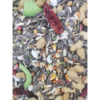 Premium Wild Bird Seed Mix – 10kg Bag | All-Natural High-Energy Blend with Sunflower Seeds, Peanuts & Chili Peppers | Attracts Macaws, Parrots, Finches, Cardinals & More