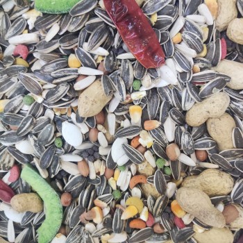 Premium Wild Bird Seed Mix – 10kg Bag | All-Natural High-Energy Blend with Sunflower Seeds, Peanuts & Chili Peppers | Attracts Macaws, Parrots, Finches, Cardinals & More