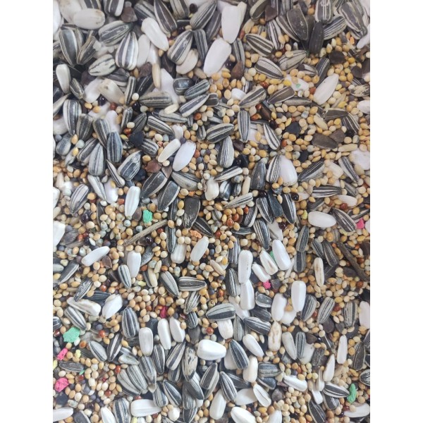 Al Masroor Premium Bird Mix – 1 kg Bag | High-Quality Seed Blend for Parrots, Parakeets, Finches, Doves & Wild Birds | Nutrient-Rich, Supports Feather Health & Immunity Al Masroor Premium Bird Mix – 1 kg Bag | High-Quality Seed Blend for Parrots, Parakeets, Finches, Doves & Wild Birds | Nutrient-Rich, Supports Feather Health & Immunity