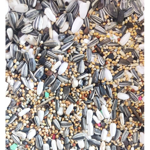 Premium Bird Mix 2 kg | Seed Blend for Parrots, Parakeets, Finches, Doves, Pigeons, and Wild Birds | Supports Feather Health, Immunity, Energy, Vitality | Natural Foraging Mix with Millet, Sunflower, Safflower, Linseed, Oats, Flax