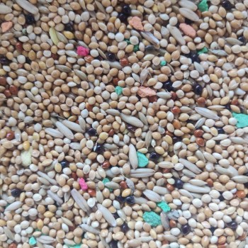 Al Masroor Vitamin Seed Mix – Premium Blend for Budgies, Finches & Small Birds | Nutritionally Balanced Seed & Pellet Mix | Supports Health, Vitality & Feather Care | 20kg Bag