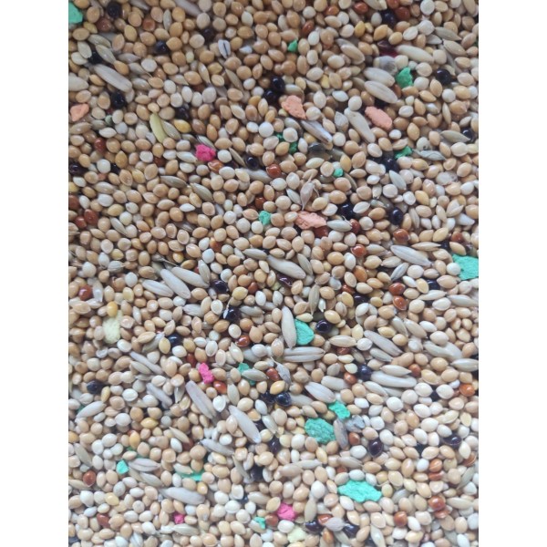 Al Masroor Vitamin Seed Mix – Premium Blend for Budgies, Finches & Small Birds | Nutritionally Balanced Seed & Pellet Mix | Supports Health, Vitality & Feather Care | 20kg Bag