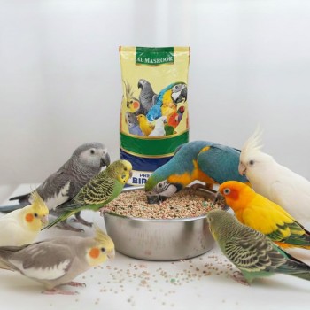 Al Masroor Vitamin Seed Mix – Premium Blend for Budgies, Finches & Small Birds | Nutritionally Balanced Seed & Pellet Mix | Supports Health, Vitality & Feather Care | 1kg Bag