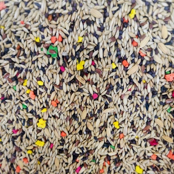 Mixed Canary & Finch Food – Premium 20kg Seed Blend | Complete Nutrition with Vitamins & Minerals | Witte Molen Quality for Canaries, Finches, Budgies, Lovebirds, Parrotlets, Cockatiels & Small Birds