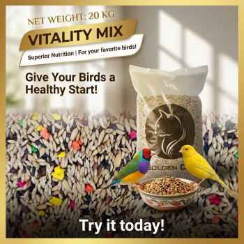 Mixed Canary & Finch Food – Premium 20kg Seed Blend | Complete Nutrition with Vitamins & Minerals | Witte Molen Quality for Canaries, Finches, Budgies, Lovebirds, Parrotlets, Cockatiels & Small Birds