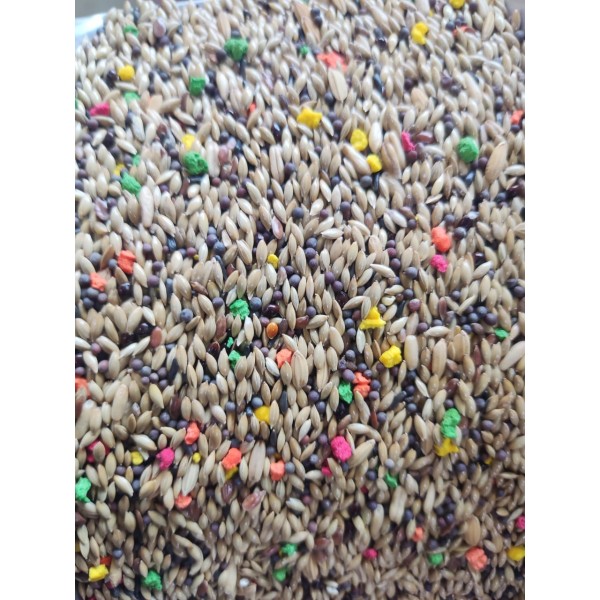 Mixed Canary & Finch Food – Premium Seed Mix 1kg | Complete Nutrition with Vitamins & Minerals | Witte Molen Quality for Canaries, Finches, Budgies, Lovebirds, Parrotlets, Cockatiels, Quails & Small Animals