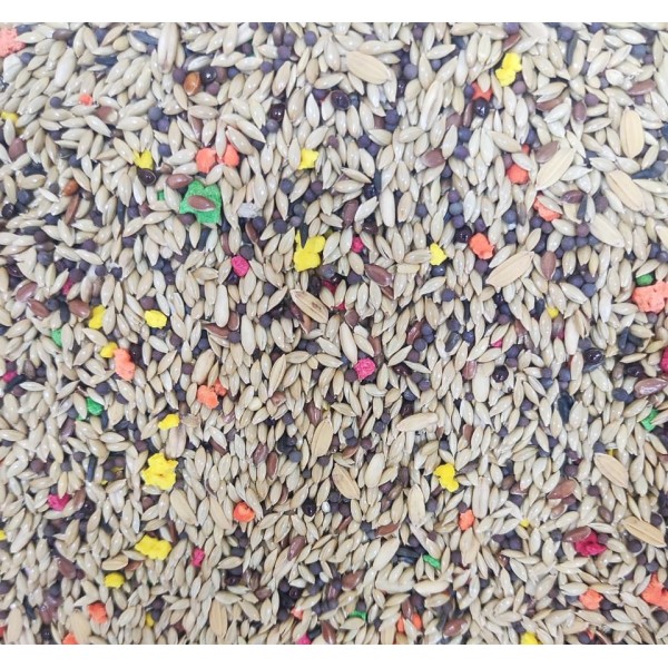 Mixed Canary & Finch Food 5kg – Premium Seed Mix with Vitamins & Minerals | Complete Daily Nutrition for Canaries, Finches, Budgies & Small Birds