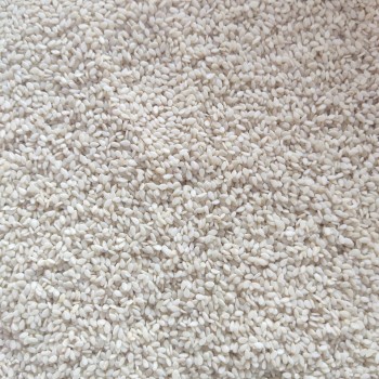 Premium White Sesame Seeds for Birds & Small Pets – 20kg Bulk Bag – Nutritious, High-Protein & Mineral-Rich – Suitable for Parrots, Macaws, Budgies, Canaries, Finches, Pigeons, Doves, Cockatiels, Lovebirds, Small Mammals & More