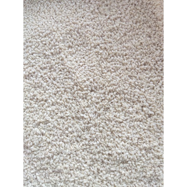 Premium White Sesame Seeds for Birds & Small Pets – 20kg Bulk Bag – Nutritious, High-Protein & Mineral-Rich – Suitable for Parrots, Macaws, Budgies, Canaries, Finches, Pigeons, Doves, Cockatiels, Lovebirds, Small Mammals & More