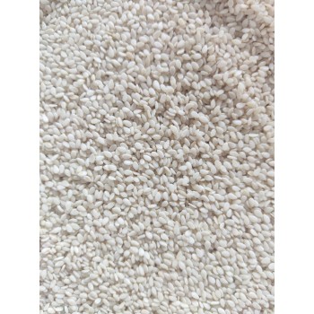 Premium White Sesame Seeds for Birds & Small Pets – Nutritious, High-Protein & Mineral-Rich – Suitable for Parrots, Macaws, Budgies, Canaries, Finches, Pigeons, Doves, Cockatiels, Lovebirds, Small Mammals & More – 1kg Bag