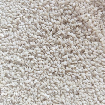 Premium White Sesame Seeds for Birds & Small Pets – Nutritious, High-Protein & Mineral-Rich – Suitable for Parrots, Macaws, Budgies, Canaries, Finches, Pigeons, Doves, Cockatiels, Lovebirds, Small Mammals & More – 1kg Bag