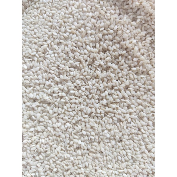 Premium White Sesame Seeds for Birds & Small Pets – 20kg Bulk Bag – Nutritious, High-Protein & Mineral-Rich – Suitable for Parrots, Macaws, Budgies, Canaries, Finches, Pigeons, Doves, Cockatiels, Lovebirds, Small Mammals & More