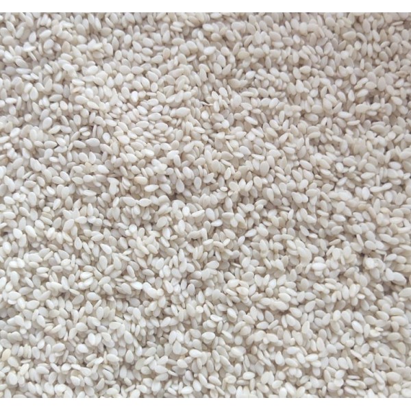 Premium White Sesame Seeds for Birds & Small Pets – 5 kg Bulk Plastic Barrel – High-Protein, Mineral-Rich Natural Feed for Parrots, Budgies, Cockatiels, Lovebirds, Finches, Pigeons, Rabbits, Guinea Pigs & Small Rodents