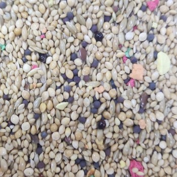 Premium Bird Food Seed Mix – Budgies, Parakeets, Zebra Finches, Lovebirds, Canaries, Cockatiels & Small Parrots – 20kg Bulk Bag