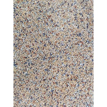 Bird Food Daily Seed Mix 7kg – Millet, Canary Seed, Sorghum & Mixed Grains – Complete Nutrition for Budgies, Finches, Canaries, Cockatiels, Lovebirds, Doves, Pigeons, Sparrows, Quail & Other Small Seed-Eating Birds