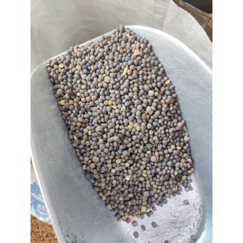 Premium Black Vetch Seeds Bird Food 1 kg – High-Protein Natural Feed for Pigeons, Doves, Finches, Canaries, Budgies, Lovebirds, Cockatiels, Indian Parrots, Conures, Macaws & Cockatoos
