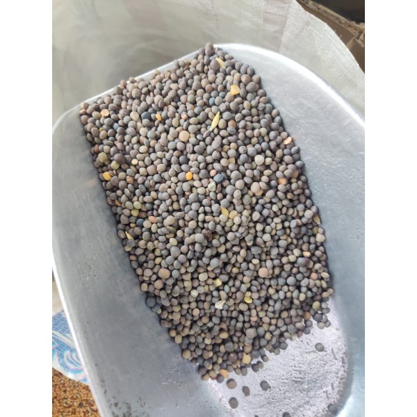 Premium Black Vetch Seeds Bird Food Mix (Masoor Dal) – High-Protein, All-Natural Seed Blend for Pigeons, Doves, Parrots, Parakeets, Finches & Aviary Birds – 20kg Bag