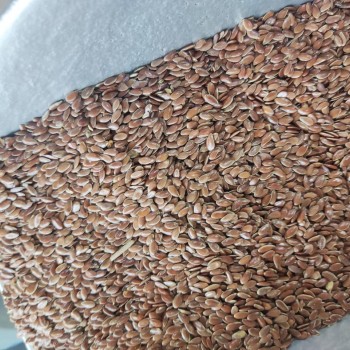 Premium Black Linseed (Flaxseed) Bird Food – High Oil Energy Seed for Healthy Feathers & Digestion – 1kg Bag