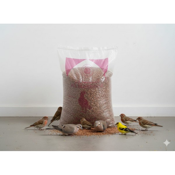 Premium Black Linseed (Flaxseed) Bird Food – High Oil Energy Seed for Healthy Feathers & Digestion – 1kg Bag