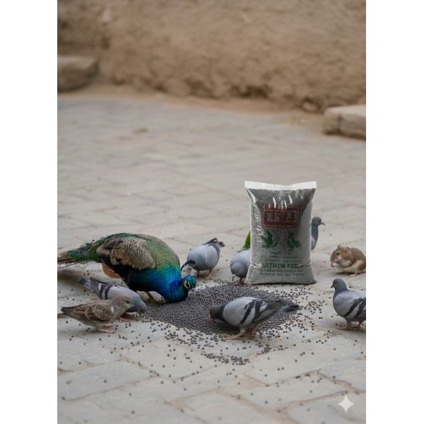 Premium Black Mustard Seeds for Birds – High-Energy Seed for Finches, Parrots, Pigeons & Poultry – Natural Bird Food Supplement -1kg Bag