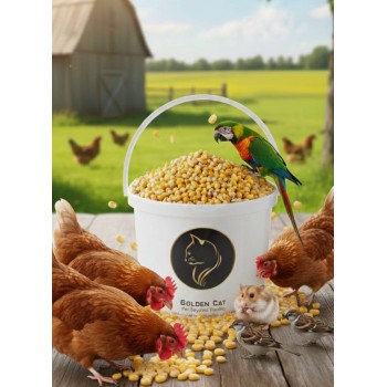 premium whole yellow corn kernels 5 kg – high-energy feed for parrots, pigeons, chickens, ducks, quail, wild birds, poultry, livestock & backyard wildlife | nutrient-rich, all-natural premium whole yellow corn kernels 5 kg – high-energy feed for parrots, pigeons, chickens, ducks, quail, wild birds, poultry, livestock & backyard wildlife | nutrient-rich, all-natural