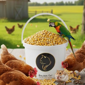 premium whole yellow corn kernels 5 kg – high-energy feed for parrots, pigeons, chickens, ducks, quail, wild birds, poultry, livestock & backyard wildlife | nutrient-rich, all-natural